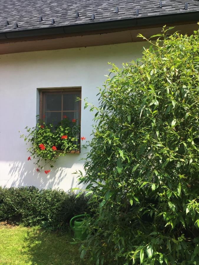 Apartman U Pamatneho Stromu Apartment Ceska Lipa Exterior photo