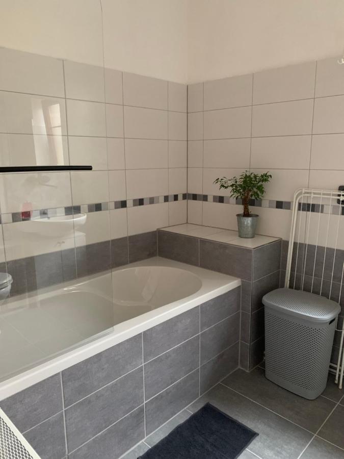 Apartman U Pamatneho Stromu Apartment Ceska Lipa Exterior photo